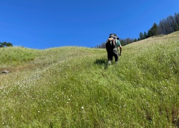 Hiker hiking up grassy hill 