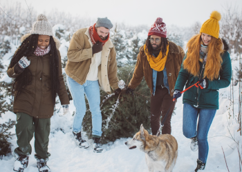 Four people with a dog hauling out a cut Christmas tree in the snow
