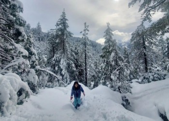 Person walking in deep snow through forest while pulling sled