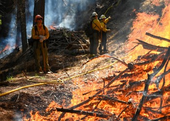 Firefighters stand on the edge of a large pile burn in the Stanislaus National Forest.