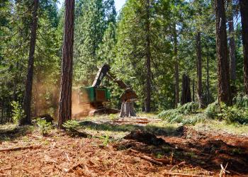 Machinery in the forest.