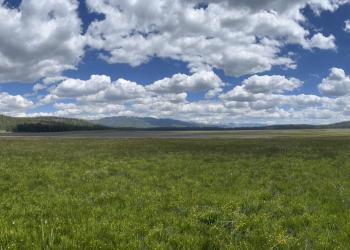 A meadow below a cloudy sky.