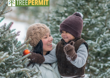 A mother and young child with a Christmas Tree