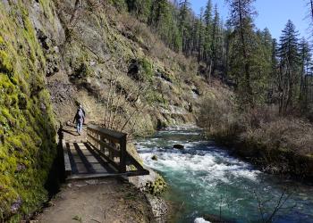 People hike along the eagle creek trail right past a wooden bridge. The creek is flowing and the sky is blue