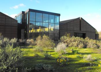 Photo of a building with a wall of windows. green grass and shrubs in the foreground