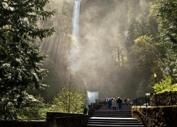 View of the Multnomah Falls viewing plaza and the base of the falls. People are walking in the sun and mist from the falls is in the air.
