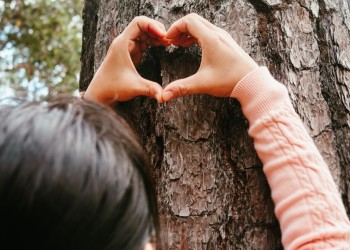 A young person makes the shape of a heart against a tree trunk with their hands.