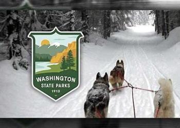 sled dogs on groomed trail