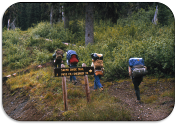 group of hikers moving uphill