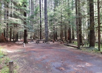 A large compacted gravel parking area at a campsite.
