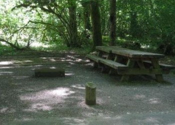 A campsite on a flat area with a fire pit and picnic table.
