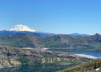 View from above a vast landscape of green with carved out lakes below and a snow covered peak in the distance.