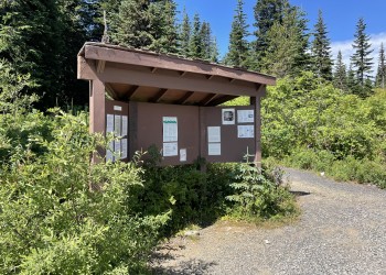 A bulletin board in the outdoors adjacent to a gravel road with greenery in the background.