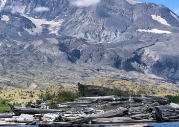spirit lake and logs near Mount St. Helens