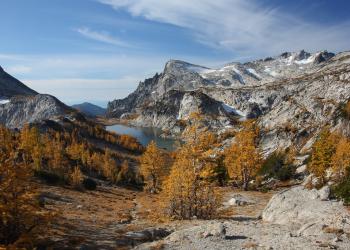 A landscape photo with a forest and mountains.