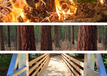 An image showing portions of three photos in a graphic: fire burning duff, trees in a treated stand and a new wooded trail bridge.