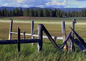 A wooden fence in a grassy field.
