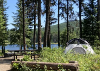 A tent in a campsite near trees and a lake