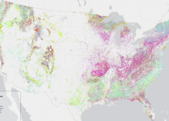 Screenshot from the tree map data set