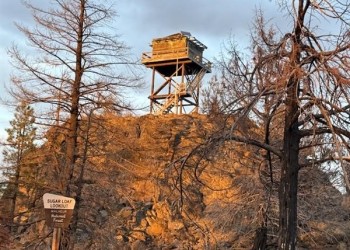 Lookout tower on mountain