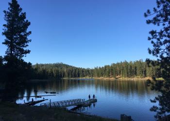 boat ramp extending into a mountain lake surrounded by forest.