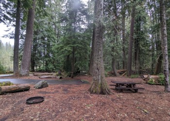 campsite in woods