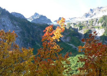 Trees with orange and yellow leaves in front of jagged mountain