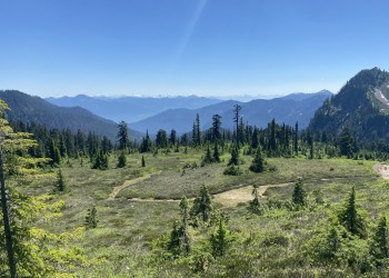 trail through alpine meadow