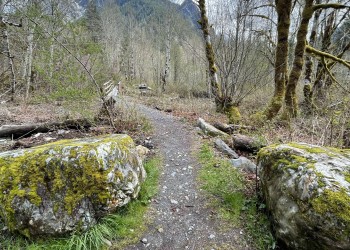 trail