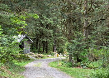 road through woods