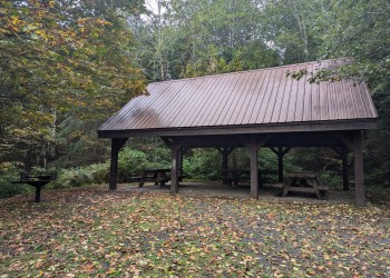 Picnic shelter in woods