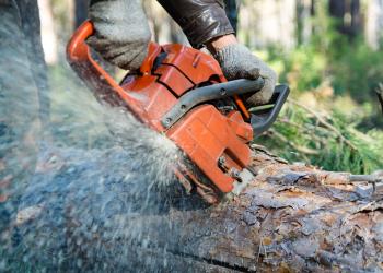 Person cutting a log with a chainsaw