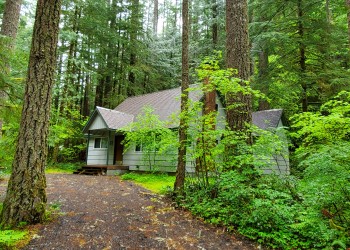 Recreation residence among a lush green forest.