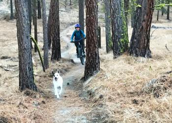 Biker with Dog in the Chelan Ranger District