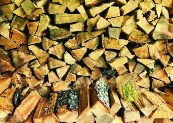 Profile view of a stack of firewood