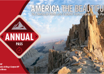 Americal the Beautiful Card
