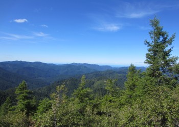 A wide open sky above the steep slopes and trees of the Copper Salmon Wilderness.