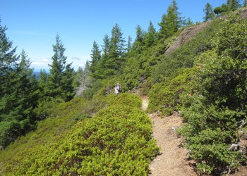 A trail passes through the Copper Salmon Wilderness Area.