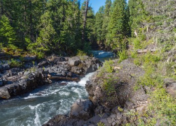 A river flows through a very rocky channel with logs caught in the whitewater. Trees stand on either side of the canyon.