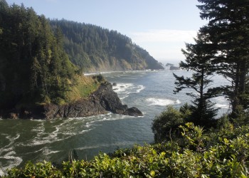 The ocean with a tree covered shore