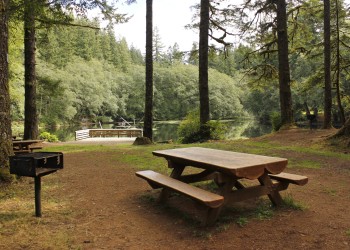 Hebo lake campsite with picnic table and grill. 