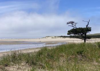 Sand Lake at low tide in the spring.