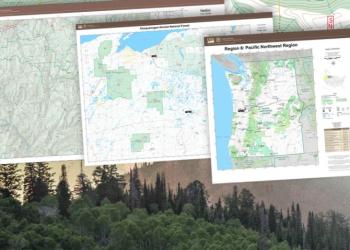 small maps with a forested background