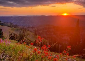 sunset over mountains with bright red lowers