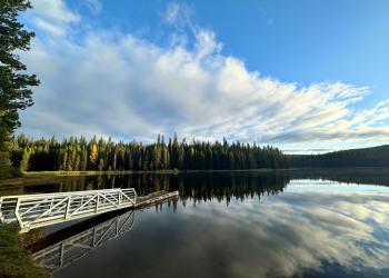Metal boat dock floating in water surrounded by trees