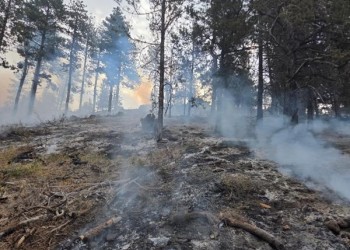 An image of the Rocky Flat Fire