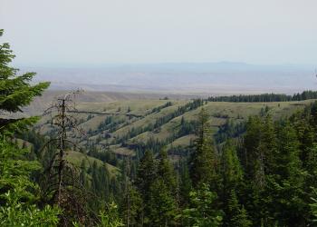 view of mountains with scattered trees