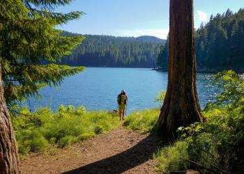 A person with a large backpack stands on a trail at the edge of a lake surrounded by trees.