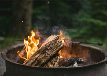 A campfire in a metal fire ring with a forested area behind it.