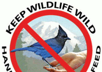 A hand with a blue jay eating from a palm has a circle with a slash through it. Text Reads, "Keep Wildlife Wild Handouts Do Not Feed."